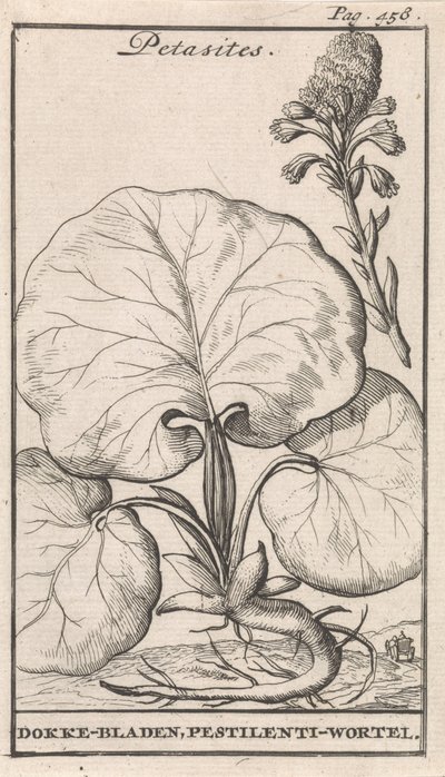 Petasiter av Caspar Luyken