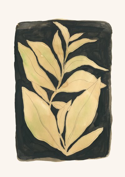 Eleganta botaniska blad av Catalina Somolinos