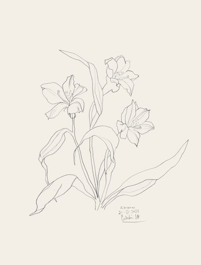 Elegant blomstermotiv i konturstil av Catalina Somolinos