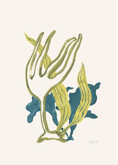 Flytande, organiskt och botaniskt av Catalina Somolinos