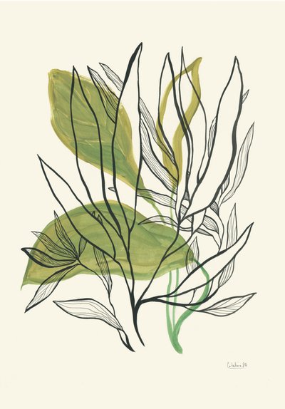 Moderna botaniska blad av Catalina Somolinos
