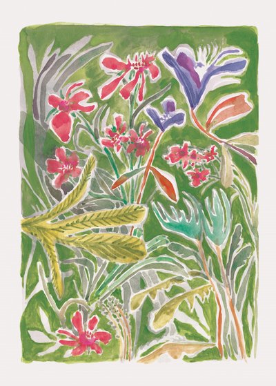 Den livfulla vildträdgården av Catalina Somolinos