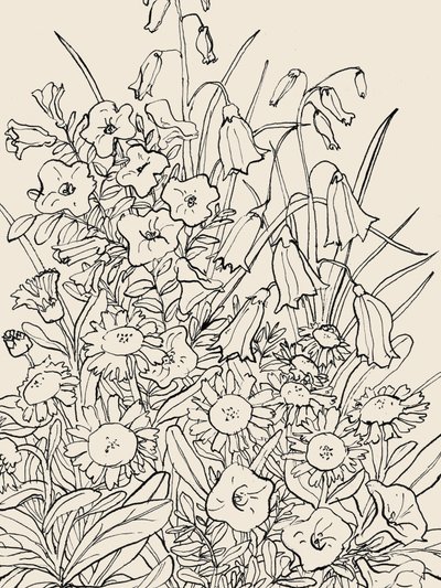 Vilda trädgårdsblommor av Catalina Somolinos