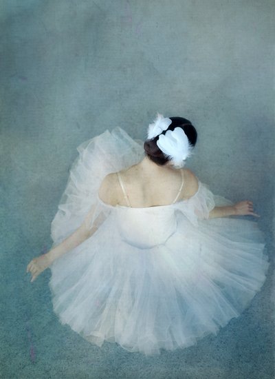 Elegant Ballerina Swan av Catherine Wang