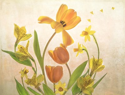 Gyllene vårblommor av Catherine Wang