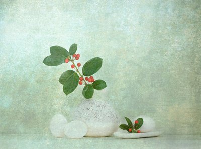 Naturlig bärsten – Zen av Catherine Wang