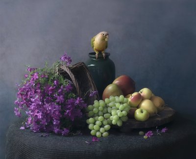 Stilleben med papegoja av Catherine Wang