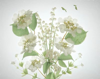 Bukett från White Lily Valley av Catherine Wang