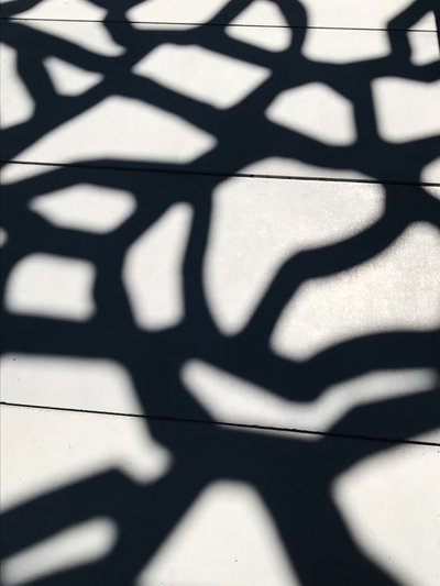 Sammansättning - Skuggor, 2021 (foto) av Cécile Jamet