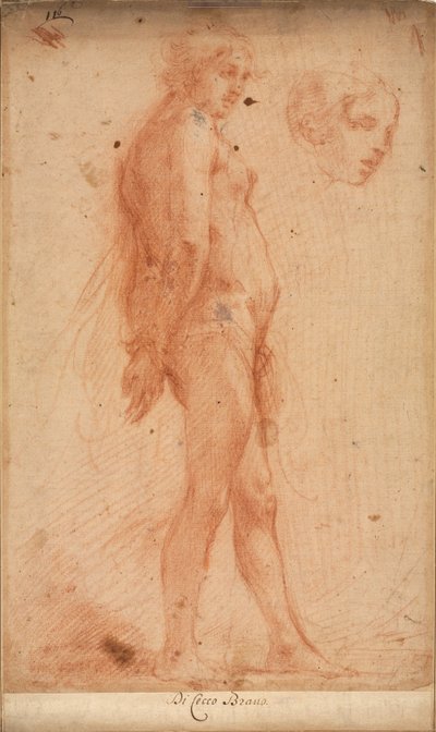 Studie av en stående manlig naken, med en studie av huvud i trekvartsprofil, c. 1640. av Cecco Bravo