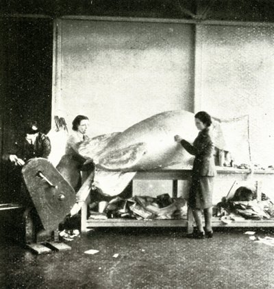 Reparera barrageballonger, c1943. av Cecil Beaton