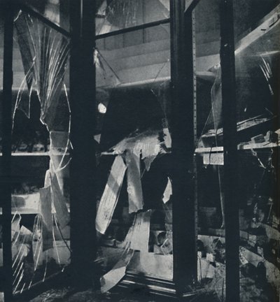 Utställningsfall i Naturhistoriska museet, 1941 av Cecil Beaton