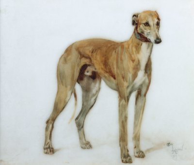 A Fawn Greyhound, 1897 av Cecil Charles Windsor Aldin