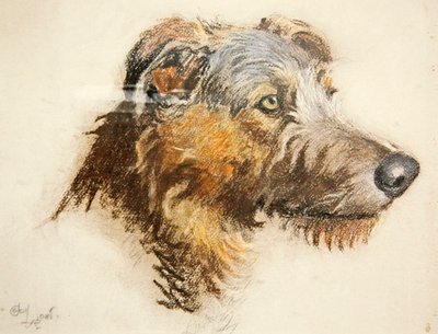 En skotsk rådjurshund (pastell på tonat papper) av Cecil Charles Windsor Aldin