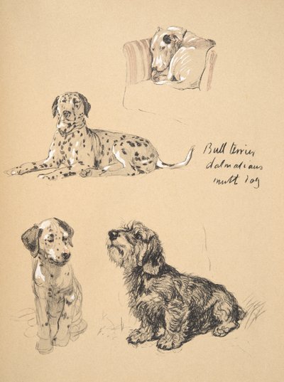 Bull Terrier, Dalmatians and Mutt Dog, 1930, Illustrationer från hans skissbok som används för Just Among Friends, Aldin, Cecil Charles Windsor (1870-1935), senare publicerad av Eyre och Spottiswoode Limited, av Cecil Charles Windsor Aldin