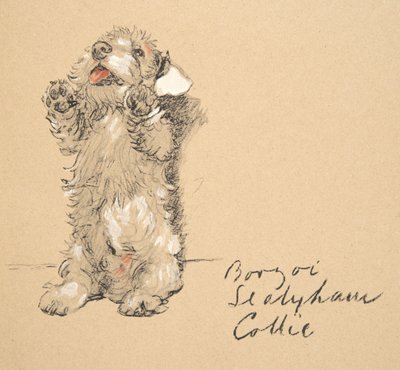 Sealyham, 1930, Illustrationer från hans skissbok använd för Just Among Friends, senare publicerad av Eyre och Spottiswoode Limited, 1934 (krita och kol på papper) av Cecil Charles Windsor Aldin