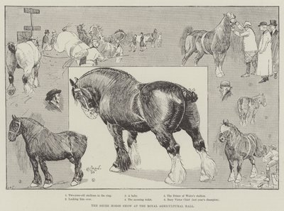 Shire Horse Show på Royal Agricultural Hall av Cecil Charles Windsor Aldin