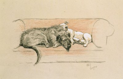 Varghund och bullterrier sover på en soffa (pastellfärgad på papper) av Cecil Charles Windsor Aldin