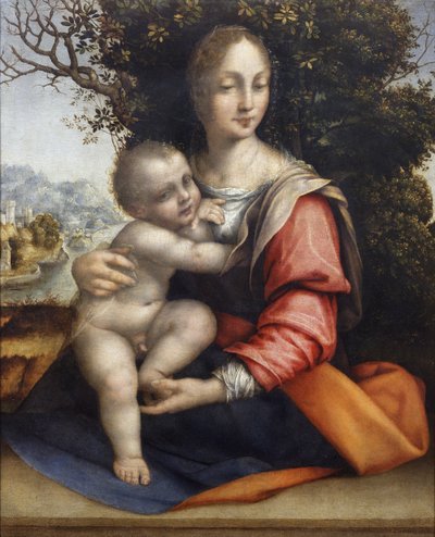 Madonna och barn (Our Lady of the Tree) av Cesare da Sesto