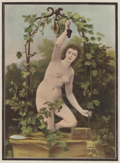 Kvinna som plockar druvor från en vinstock (färg litho) av Charles (after) Landelle