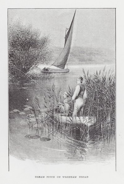 Fiske: Braxen Pitch på Wroxham Broad (litho) av Charles (after) Whymper