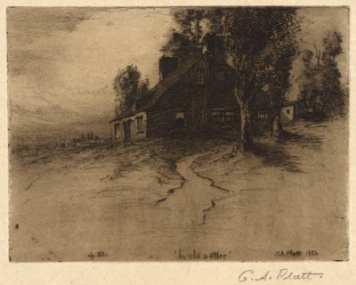 En gammal nybyggare av Charles A. Platt