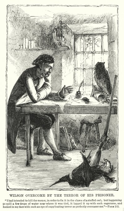 Wilson överväldigad av skräcken från sin fånge (gravyr) av Charles Altamont Doyle