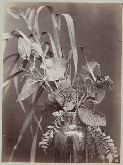 Blommastudie med glasflaska av Charles Aubry (manner of)