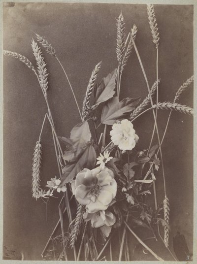 Blommastudie med majsax av Charles Aubry (manner of)