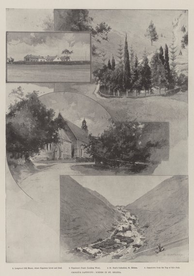 Cronjes fångenskap, scener i St Helena av Charles Auguste Loye