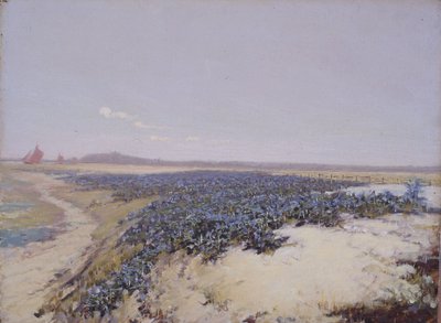 Blomsterbeklädda sanddyner (olja på duk) av Charles Augustus Lasar