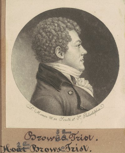 Hore Bläddra Trist av Charles B. J. Févret de Saint Mémin