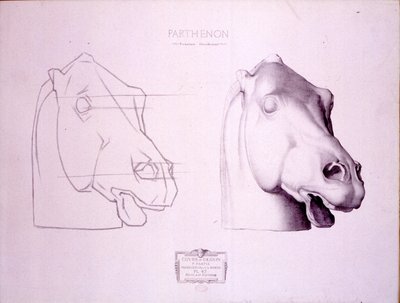 Hästhuvud från West Pediment of the Parthenon, skylt 47 från Cours de Dessin, ca 1898 av Charles Bargue