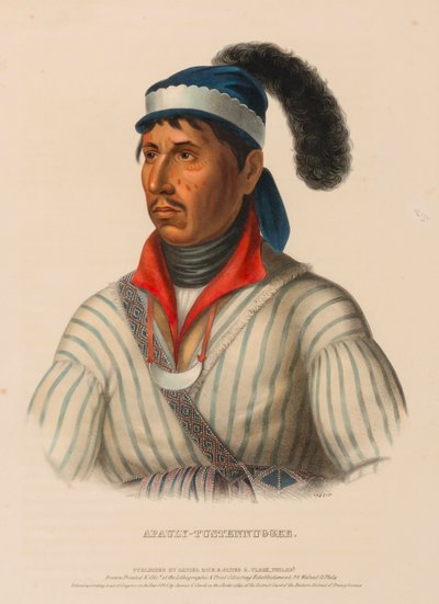 APAULY-TUSTENNUGGEE, från Historien om Nordamerikas indianstammar av Charles Bird King