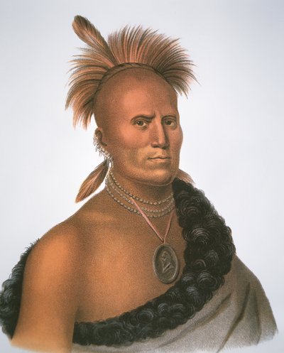 Chief Sharitarish av Charles Bird King