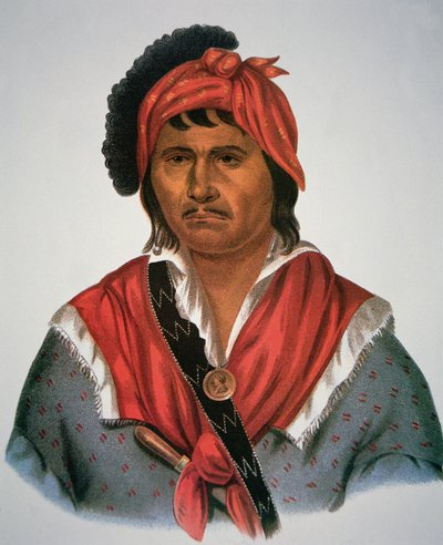 Neamathla chef av Charles Bird King