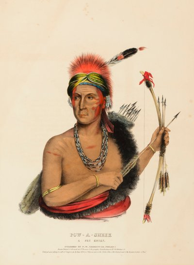 POW-A-SHEEK. EN FOX CHIEF. av Charles Bird King