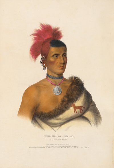 Pes-ke-le-cha-co - En pawneehövding av Charles Bird King