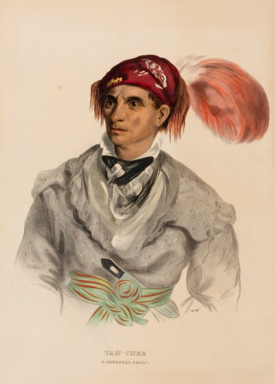 Tah-Chee (holländsk), En Cherokee-hövding, från Historia om indianstammarna i Nordamerika av Charles Bird King