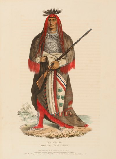 WA-NA-TA. STORHÖVEDARE FÖR SIOUX, från Historia om indianstammarna i Nordamerika av Charles Bird King