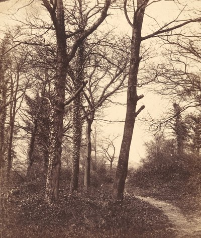 Vinter, 1855. av Charles Conway