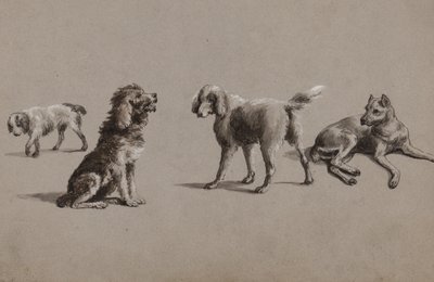 Studier av hundar (penna, pensel, bläck och gouache på papper) av Charles Cooper Henderson