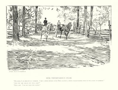 Hennes enorma rädsla (litografi) av Charles Dana Gibson