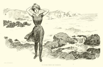 Illustration för The Social Ladder av Charles Dana Gibson