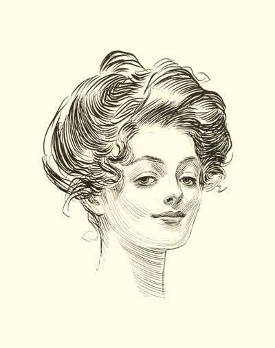 Illustration för The Social Ladder av Charles Dana Gibson