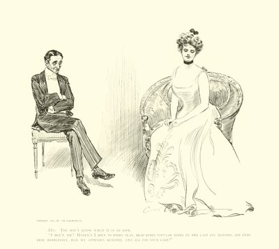 Illustration för The Social Ladder av Charles Dana Gibson