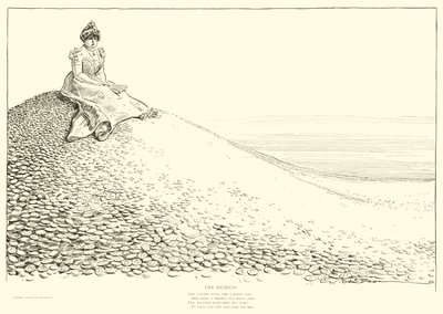 Illustration för The Social Ladder av Charles Dana Gibson