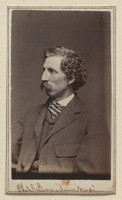 Charles Farrar Browne av Charles DeForest Fredricks