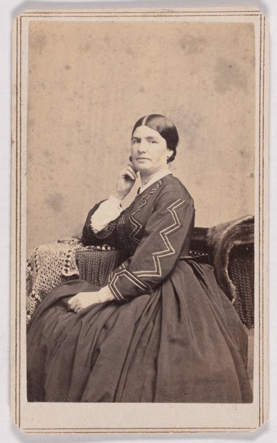 Mary I. Palmer av Charles DeForest Fredricks