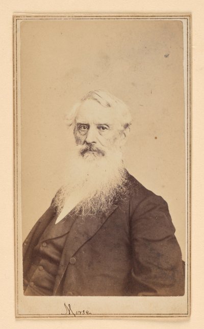Samuel F. B. Morse av Charles DeForest Fredricks